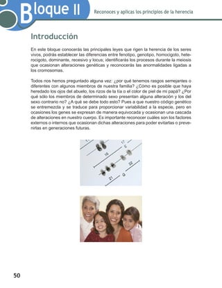 50
Bloque II Reconoces y aplicas los principios de la herencia
Introducción
En este bloque conocerás las principales leyes que rigen la herencia de los seres
vivos, podrás establecer las diferencias entre fenotipo, genotipo, homocigoto, hete-
rocigoto, dominante, recesivo y locus; identificarás los procesos durante la meiosis
que ocasionan alteraciones genéticas y reconocerás las anormalidades ligadas a
los cromosomas.
Todos nos hemos preguntado alguna vez: ¿por qué tenemos rasgos semejantes o
diferentes con algunos miembros de nuestra familia? ¿Cómo es posible que haya
heredado los ojos del abuelo, los rizos de la tía o el color de piel de mi papá? ¿Por
qué sólo los miembros de determinado sexo presentan alguna alteración y los del
sexo contrario no? ¿A qué se debe todo esto? Pues a que nuestro código genético
se entremezcla y se traduce para proporcionar variabilidad a la especie, pero en
ocasiones los genes se expresan de manera equivocada y ocasionan una cascada
de alteraciones en nuestro cuerpo. Es importante reconocer cuáles son los factores
externos o internos que ocasionan dichas alteraciones para poder evitarlas o preve-
nirlas en generaciones futuras.
 