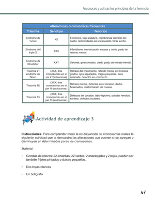 67
Reconoces y aplicas los principios de la herencia
Alteraciones cromosómicas frecuentes
Trisomía Genotipo Fenotipo
Síndrome de
Turner
X0
Femenino, baja estatura, membranas laterales del
cuello, deformidades en el esqueleto, tórax ancho.
Síndrome del
triple X
XXX
Infantilismo, menstruación escasa y cierto grado de
retardo mental.
Síndrome de
Klinefelter
XXY Varones, ginecomastia, cierto grado de retraso mental.
Trisomía 21
síndrome de
Down
(XXX) tres
cromosomas en el
par 21(autosomas)
Retraso del crecimiento, retardo mental en diversos
grados, ojos separados, orejas pequeñas, cara
aplanada, defectos en el corazón.
Trisomía 18
(XXX) tres
cromosomas en el
par 18 (autosomas)
Retraso mental, defectos en el corazón, dedos
flexionados, malformación de huesos.
Trisomía 13
(XXX) tres
cromosomas en el
par 13 (autosomas)
Defectos del corazón, labio leporino, paladar hendido,
sordera, defectos oculares.
	 Actividad de aprendizaje 3
Instrucciones: Para comprender mejor la no disyunción de cromosomas realiza la
siguiente actividad que te demuestra las alteraciones que ocurren si se agregan o
disminuyen en determinados pares los cromosomas.
Material:
•	 Gomitas de colores: 22 amarillas, 22 verdes, 2 anaranjadas y 2 rojas, pueden ser
también frijoles pintados o dulces pequeños.
•	 Dos hojas blancas
•	 Un bolígrafo
 