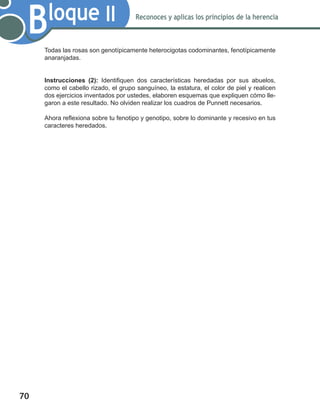 70
Bloque II Reconoces y aplicas los principios de la herencia
Todas las rosas son genotípicamente heterocigotas codominantes, fenotípicamente
anaranjadas.
Instrucciones (2): Identifiquen dos características heredadas por sus abuelos,
como el cabello rizado, el grupo sanguíneo, la estatura, el color de piel y realicen
dos ejercicios inventados por ustedes, elaboren esquemas que expliquen cómo lle-
garon a este resultado. No olviden realizar los cuadros de Punnett necesarios.
Ahora reflexiona sobre tu fenotipo y genotipo, sobre lo dominante y recesivo en tus
caracteres heredados.
 