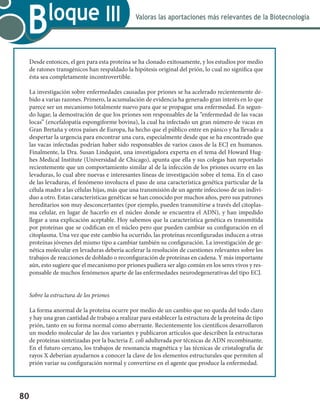 80
Valoras las aportaciones más relevantes de la Biotecnología
Bloque III
Desde entonces, el gen para esta proteína se ha clonado exitosamente, y los estudios por medio
de ratones transgénicos han respaldado la hipótesis original del prión, lo cual no significa que
ésta sea completamente incontrovertible.
La investigación sobre enfermedades causadas por priones se ha acelerado recientemente de-
bido a varias razones. Primero, la acumulación de evidencia ha generado gran interés en lo que
parece ser un mecanismo totalmente nuevo para que se propague una enfermedad. En segun-
do lugar, la demostración de que los priones son responsables de la “enfermedad de las vacas
locas” (encefalopatía espongiforme bovina), la cual ha infectado un gran número de vacas en
Gran Bretaña y otros países de Europa, ha hecho que el público entre en pánico y ha llevado a
despertar la urgencia para encontrar una cura, especialmente desde que se ha encontrado que
las vacas infectadas podrían haber sido responsables de varios casos de la ECJ en humanos.
Finalmente, la Dra. Susan Lindquist, una investigadora experta en el tema del Howard Hug-
hes Medical Institute (Universidad de Chicago), apunta que ella y sus colegas han reportado
recientemente que un comportamiento similar al de la infección de los priones ocurre en las
levaduras, lo cual abre nuevas e interesantes líneas de investigación sobre el tema. En el caso
de las levaduras, el fenómeno involucra el paso de una característica genética particular de la
célula madre a las células hijas, más que una transmisión de un agente infeccioso de un indivi-
duo a otro. Estas características genéticas se han conocido por muchos años, pero sus patrones
hereditarios son muy desconcertantes (por ejemplo, pueden transmitirse a través del citoplas-
ma celular, en lugar de hacerlo en el núcleo donde se encuentra el ADN), y han impedido
llegar a una explicación aceptable. Hoy sabemos que la característica genética es transmitida
por proteínas que se codifican en el núcleo pero que pueden cambiar su configuración en el
citoplasma. Una vez que este cambio ha ocurrido, las proteínas reconfiguradas inducen a otras
proteínas jóvenes del mismo tipo a cambiar también su configuración. La investigación de ge-
nética molecular en levaduras debería acelerar la resolución de cuestiones relevantes sobre los
trabajos de reacciones de doblado o reconfiguración de proteínas en cadena. Y más importante
aún, esto sugiere que el mecanismo por priones pudiera ser algo común en los seres vivos y res-
ponsable de muchos fenómenos aparte de las enfermedades neurodegenerativas del tipo ECJ.
Sobre la estructura de los priones
La forma anormal de la proteína ocurre por medio de un cambio que no queda del todo claro
y hay una gran cantidad de trabajo a realizar para establecer la estructura de la proteína de tipo
prión, tanto en su forma normal como aberrante. Recientemente los científicos desarrollaron
un modelo molecular de las dos variantes y publicaron artículos que describen la estructuras
de proteínas sintetizadas por la bacteria E. coli adulterada por técnicas de ADN recombinante.
En el futuro cercano, los trabajos de resonancia magnética y las técnicas de cristalografía de
rayos X deberían ayudarnos a conocer la clave de los elementos estructurales que permiten al
prión variar su configuración normal y convertirse en el agente que produce la enfermedad.
 