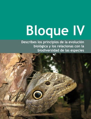 Bloque IV
Describes los principios de la evolución
biológica y los relacionas con la
biodiversidad de las especies
Bloque IV. Describes los principios de la evolución biológica y los relacionas con la biodiversidad
de las especies
 