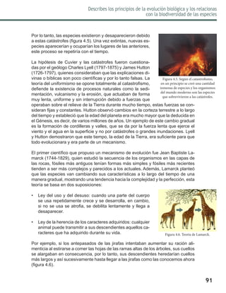 91
Describes los principios de la evolución biológica y los relacionas
con la biodiversidad de las especies
Por lo tanto, las especies existieron y desaparecieron debido
a estas catástrofes (figura 4.5). Una vez extintas, nuevas es-
pecies aparecerían y ocuparían los lugares de las anteriores,
este proceso se repetiría con el tiempo.
La hipótesis de Cuvier y las catástrofes fueron cuestiona-
das por el geólogo Charles Lyell (1797-1875) y James Hutton
(1726-1797), quienes consideraban que las explicaciones di-
vinas o bíblicas son poco científicas y por lo tanto falsas. La
teoría del uniformismo se opone totalmente al catastrofismo,
defiende la existencia de procesos naturales como la sedi-
mentación, vulcanismo y la erosión, que actuaban de forma
muy lenta, uniforme y sin interrupción debido a fuerzas que
operaban sobre el relieve de la Tierra durante mucho tiempo, estas fuerzas se con-
sideran fijas y constantes. Hutton observó cambios en la corteza terrestre a lo largo
del tiempo y estableció que la edad del planeta era mucho mayor que la deducida en
el Génesis, es decir, de varios millones de años. Un ejemplo de este cambio gradual
es la formación de cordilleras y valles, que se da por la fuerza lenta que ejerce el
viento y el agua en la superficie y no por catástrofes o grandes inundaciones. Lyell
y Hutton demostraron que este tiempo, la edad de la Tierra, era suficiente para que
todo evolucionara y era parte de un mecanismo.
El primer científico que propuso un mecanismo de evolución fue Jean Baptiste La-
marck (1744-1829), quien estudió la secuencia de los organismos en las capas de
las rocas, fósiles más antiguos tenían formas más simples y fósiles más recientes
tienden a ser más complejos y parecidos a los actuales. Además, Lamarck planteó
que las especies van cambiando sus características a lo largo del tiempo de una
manera gradual, mostrando una tendencia hacia la complejidad y la perfección, esta
teoría se basa en dos suposiciones:
•	 Ley del uso y del desuso: cuando una parte del cuerpo
se usa repetidamente crece y se desarrolla, en cambio,
si no se usa se atrofia, se debilita lentamente y llega a
desaparecer.
•	 Ley de la herencia de los caracteres adquiridos: cualquier
animal puede transmitir a sus descendientes aquellos ca-
racteres que ha adquirido durante su vida.
Por ejemplo, si los antepasados de las jirafas intentaban aumentar su ración ali-
menticia al estirarse a comer las hojas de las ramas altas de los árboles, sus cuellos
se alargaban en consecuencia, por lo tanto, sus descendientes heredarían cuellos
más largos y así sucesivamente hasta llegar a las jirafas como las conocemos ahora
(figura 4.6).
Figura 4.6. Teoría de Lamarck.
Figura 4.5. Según el catastrofismo,
en un principio se creó una cantidad
inmensa de especies y los organismos
del mundo moderno son las especies
que sobrevivieron a las catástrofes.
 