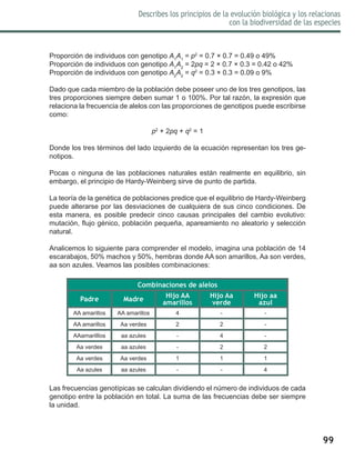 99
Describes los principios de la evolución biológica y los relacionas
con la biodiversidad de las especies
Proporción de individuos con genotipo A1
A1
= p2
= 0.7 × 0.7 = 0.49 o 49%
Proporción de individuos con genotipo A1
A2
= 2pq = 2 × 0.7 × 0.3 = 0.42 o 42%
Proporción de individuos con genotipo A2
A2
= q2
= 0.3 × 0.3 = 0.09 o 9%
Dado que cada miembro de la población debe poseer uno de los tres genotipos, las
tres proporciones siempre deben sumar 1 o 100%. Por tal razón, la expresión que
relaciona la frecuencia de alelos con las proporciones de genotipos puede escribirse
como:
p2
+ 2pq + q2
= 1
Donde los tres términos del lado izquierdo de la ecuación representan los tres ge-
notipos.
Pocas o ninguna de las poblaciones naturales están realmente en equilibrio, sin
embargo, el principio de Hardy-Weinberg sirve de punto de partida.
La teoría de la genética de poblaciones predice que el equilibrio de Hardy-Weinberg
puede alterarse por las desviaciones de cualquiera de sus cinco condiciones. De
esta manera, es posible predecir cinco causas principales del cambio evolutivo:
mutación, flujo génico, población pequeña, apareamiento no aleatorio y selección
natural.
Analicemos lo siguiente para comprender el modelo, imagina una población de 14
escarabajos, 50% machos y 50%, hembras donde AA son amarillos, Aa son verdes,
aa son azules. Veamos las posibles combinaciones:
Combinaciones de alelos
Padre Madre
Hijo AA
amarillos
Hijo Aa
verde
Hijo aa
azul
AA amarillos AA amarillos 4 - -
AA amarillos Aa verdes 2 2 -
AAamarilllos aa azules - 4 -
Aa verdes aa azules - 2 2
Aa verdes Aa verdes 1 1 1
Aa azules aa azules - - 4
Las frecuencias genotípicas se calculan dividiendo el número de individuos de cada
genotipo entre la población en total. La suma de las frecuencias debe ser siempre
la unidad.
 