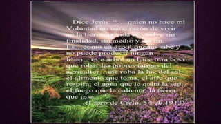 Libro de cielo volumen 11 (3)