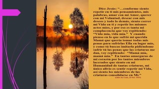 Libro de cielo volumen 11 (6)