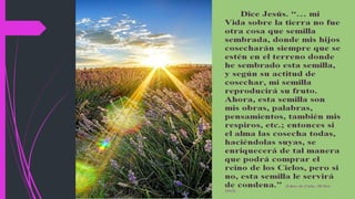 Libro de cielo volumen 11 (6)