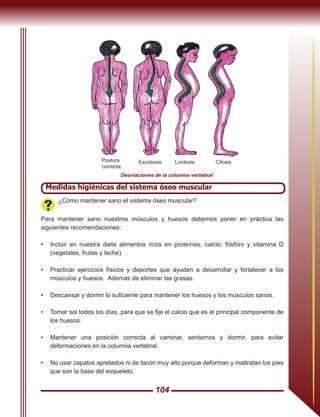 104
Medidas higiénicas del sistema óseo muscular
¿Cómo mantener sano el sistema óseo muscular?
Para mantener sano nuestros músculos y huesos debemos poner en práctica las
siguientes recomendaciones:
•	 Incluir en nuestra dieta alimentos ricos en proteínas, calcio, fósforo y vitamina D
(vegetales, frutas y leche).
•	 Practicar ejercicios físicos y deportes que ayuden a desarrollar y fortalecer a los
músculos y huesos. Además de eliminar las grasas.
•	 Descansar y dormir lo suficiente para mantener los huesos y los músculos sanos.
•	 Tomar sol todos los días, para que se fije el calcio que es el principal componente de
los huesos.
•	 Mantener una posición correcta al caminar, sentarnos y dormir, para evitar
deformaciones en la columna vertebral.
•	 No usar zapatos apretados ni de tacón muy alto porque deforman y maltratan los pies
que son la base del esqueleto.
Postura
correcta
Escoliosis CifosisLordosis
Desviaciones de la columna vertebral
 
