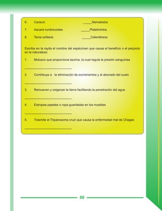 66
6.	 Caracol _____Nematodos
7.	 Ascaris lumbricoides _____Platelmintos
8.	 Tenia solitaria _____Celentéreos
Escriba en la rayita el nombre del espécimen que causa el beneficio o el perjuicio
en la naturaleza:
1.	 Molusco que proporciona taurina, la cual regula la presión sanguínea
___________________________
2.	 Contribuye a la eliminación de excrementos y al abonado del suelo
___________________________
3.	 Remueven y oxigenan la tierra facilitando la penetración del agua
___________________________
4.	 Estropea papeles o ropa guardadas en los muebles
___________________________
5.	 Trasmite el Tripanosoma cruzi que causa la enfermedad mal de Chagas
___________________________
 