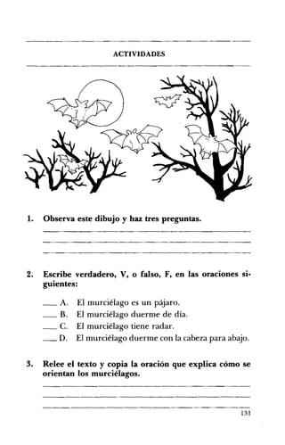 ACTIVIDADES 

1. Observa este dibujo y haz tres preguntas. 

2. 	 Escribe verdadero, V, o falso, F, en las oraciones si­
guientes:
_A. El murciélago es un p:ijaro. 

_B. El murciélago duerme de día. 

_C. El murciélago tiene radar. 

_D. El murciélago duerme con la cabeza para abajo. 

3. 	 Relee el texto y copia la oración que explica cómo se
orientan los murciélagos.
131
 