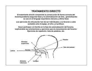 25
TRATAMIENTO DIRECTO
El tratamiento directo comprende la consecución de forma correcta del
fonema-problema (segunda fase) y la automatización de ésta, generalizando
su uso en el lenguaje espontáneo (tercera y última fase)
Los ejercicios de articulación han de ser individuales y se llevarán a cabo
sentados ante el espejo, el niño y el profesor.
Hacer participar a la familia en la fase de automatización del fonema,
explicándole las orientaciones y ejercicios para la mecanización del fonema:
Ejercicios de repetición, lista de palabras, etc.
Alvéolos
superiores
Dientes
Alvéolos
inferiores
Lengua
Paladar
Velo del paladar
Labios
 