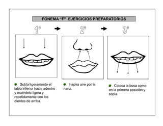 46
FONEMA ³F´ EJERCICIOS PREPARATORIOS
Dobla ligeramente el
labio inferior hacia adentro
y muérdelo ligera y
repetidamente con los
dientes de arriba.
Inspira aire por la
nariz.
Coloca la boca como
en la primera posición y
sopla.
 
