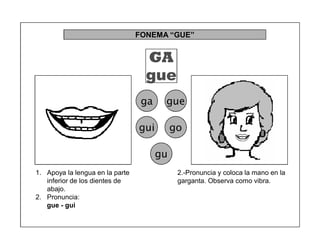64
FONEMA ³GUE´
GA
gue
ga gue
gui go
gu
2.-Pronuncia y coloca la mano en la
garganta. Observa como vibra.
1. Apoya la lengua en la parte
inferior de los dientes de
abajo.
2. Pronuncia:
gue - gui
 