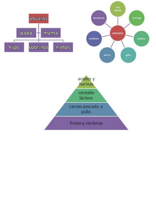 Libro de ejercicios de word