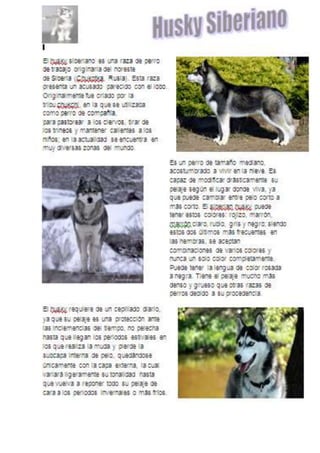 Libro de ejercicios de word