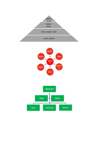 Libro de ejercicos word