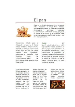 Libro de ejercicos word