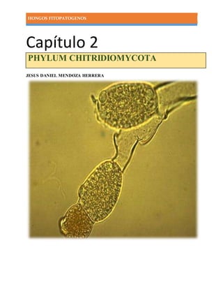 HONGOS FITOPATOGENOS
Capítulo 2
JESUS DANIEL MENDOZA HERRERA
PHYLUM CHITRIDIOMYCOTA
 