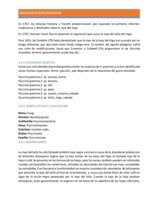 HONGOS FITOPATOGENOS
En 1767, los italianos Fontana y Tozzetti proporcionaron por separado los primeros informes
inequívocos y detallados sobre la roya del trigo
En 1797, Persoon llamó Puccini graminis al organismo que causa la roya del tallo del trigo.
Para 1815, de Candolle (79) había demostrado que la roya de la hoja del trigo era causada por un
hongo diferente, que describió como Uredo rubigo-vera. El nombre del agente patógeno sufrió
una serie de modificaciones hasta que Cummins y Caldwell (74) propusieron el de Puccinia
recondita, término generalmente usado hoy día.
3.5.9. DIVERSIDAD GENÉTICA
Existeuna considerable diversidad genéticaentre las especies de P. graminis y se han identificado
varias formas especiales, forma specialis, que dependen de la naturaleza del grano afectado.
Puccinia graminis f. sp. avenae, avena
Puccinia graminis f. sp. dactylis
Puccinia graminis f. sp. lolii
Puccinia graminis f. sp. poae
Puccinia graminis f. sp. secalis, centeno, cebada
Puccinia graminis f. sp. tritici, trigo, cebada
3.6.0. NOMECLATURA Y CLASIFICACIÓN
Reino: Fungi
División: Basidiomycota
Subfamilia: Pucciniomycotina
Clase: Pucciniomycetes
Subclase: incertae sedis
Orden: Pucciniales
Familia: Pucciniaceae
3.6.1 ENFERMEDADES
La roya del tallo ha sido llamada también roya negra o estival a causa de la abundante producción
de brillantes teliosporas negras que La más común de las royas del trigo es llamada roya de la
hoja o café.Se presenta en las láminas de las hojas,pero las vainas también pueden ser infectadas
cuando son favorables las condiciones, elevadas las densidades del inóculo son muy susceptibles
las variedades.Con frecuencia laenfermedad no muestra laproducción abundante de teliosporas
que presenta la roya del tallo al final de la temporada, y causa una lesión foliar de color café en
lugar de la lesión negra provocada por la roya del tallo. Cuando la roya de la hoja produce
teliosporas, éstas generalmente se originan en las telias de la superficie de las hojas inferiores,
 