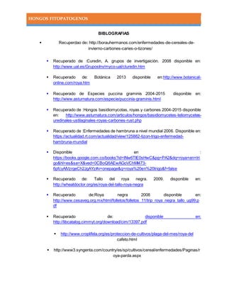 HONGOS FITOPATOGENOS
BIBLOGRAFIAS
 Recuperdao de: http://borauhermanos.com/enfermedades-de-cereales-de-
invierno-carbones-caries-o-tizones/
 Recuperado de :Curedin, A. grupos de invertigaición. 2008 disponible en:
http://www.ual.es/GruposInv/myco-ual/cluredin.htm
 Recuperado de: Botánica 2013 disponible en:http://www.botanical-
online.com/roya.htm
 Recuperado de Especies puccina graminis 2004-2015 disponible en:
http://www.asturnatura.com/especie/puccinia-graminis.html
 Recuperado de :Hongos basidiomycotas, royas y carbones 2004-2015 disponible
en: http://www.asturnatura.com/articulos/hongos/basidiomycetes-teliomycetes-
uredinales-ustilaginales-royas-carbones-rust.php
 Recuperado de :Enfermedades de hambruna a nivel mundial 2006. Disponible en:
https://actualidad.rt.com/actualidad/view/125882-tizon-trigo-enfermedad-
hambruna-mundial
 Disponible en :
https://books.google.com.co/books?id=lNw6TIE0sHwC&pg=PA2&dq=roya+en+tri
go&hl=es&sa=X&ved=0CBoQ6AEwAGoVChMI473-
6pfcyAIVzrgeCh2JgAYz#v=onepage&q=roya%20en%20trigo&f=false
 Recuperado de: Tallo del roya negra. 2009. disponible en:
http://wheatdoctor.org/es/roya-del-tallo-roya-negra
 Recuperado de:Roya negra 2008 disponible en:
http://www.cesaveg.org.mx/html/folletos/folletos_11/trip_roya_negra_tallo_ug99.p
df
 Recuperado de: disponible en:
http://libcatalog.cimmyt.org/download/cim/13397.pdf
 http://www.croplifela.org/es/proteccion-de-cultivos/plaga-del-mes/roya-del
cafeto.html
 http://www3.syngenta.com/country/es/sp/cultivos/cereal/enfermedades/Paginas/r
oya-parda.aspx
 
