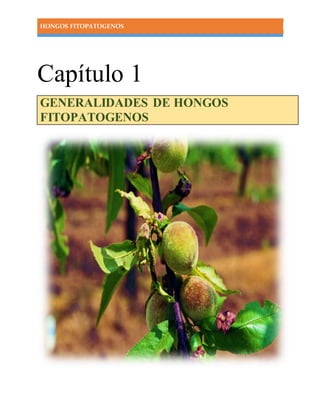 HONGOS FITOPATOGENOS
Capítulo 1
GENERALIDADES DE HONGOS
FITOPATOGENOS
 
