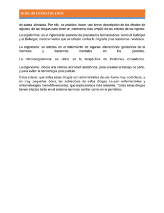 HONGOS FITOPATOGENOS
de planta afectada. Por ello, es práctico, hacer una breve descripción de los efectos de
algunas de las drogas para tener un panorama mas amplio de los efectos de su ingesta:
La ergotamina: es el ingrediente esencial de preparados farmacéuticos como el Cafergot
y el Bellergal, medicamentos que se utilizan contra la migraña y los trastornos nerviosos.
La ergotoxina: se emplea en el tratamiento de algunas alteraciones geriátricas de la
memoria y trastornos mentales en los gerontes.
La dihidroergotamina: se utiliza en la terapéutica de trastornos circulatorios.
La ergonovina: induce una intensa actividad uterotónica, para acelerar el trabajo de parto,
y para evitar la hemorragia post partum.
Cabe aclarar, que todas estas drogas son administradas de una forma muy controlada, y
en muy pequeñas dosis, las sobredosis de estas drogas causan enfermedades y
sintomatologías bien diferenciadas, que explicaremos más adelante. Todas estas drogas
tienen efectos tanto en el sistema nervioso central como en el periférico.
 