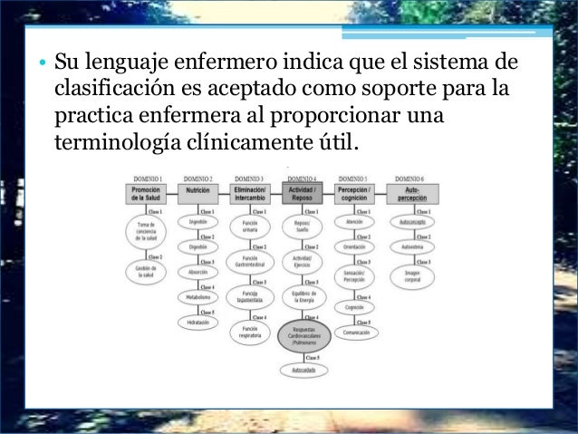 Libro de la nanda