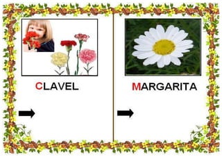 LIBRO DE LA PRIMAVERA