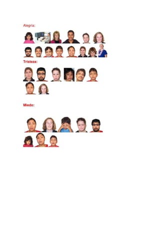 Libro de las emociones