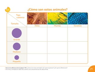 Pelos Plumas Escamas
Grande
Mediano
Pequeño
• Busca los adhesivos de la página 105: ¿Cómo son estos animales? ¿En qué se parecen? ¿En qué se diferencian?
• Escucha y completa la tabla de acuerdo a las características de cada animal.
Tipo
cubierta
Tamaño
¿Cómo son estos animales?
105
29
U03_NT1_Cua_Lic_Imp_B 29 03-08-2020 16:45:34
 