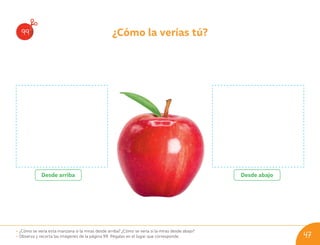 ¿Cómo la verías tú?
99
• ¿Cómo se vería esta manzana si la miras desde arriba? ¿Cómo se vería si la miras desde abajo?
• Observa y recorta las imágenes de la página 99. Pégalas en el lugar que corresponde.
Desde arriba Desde abajo
47
U05_NT1_Cua_Lic_Imp_B 47 03-08-2020 16:47:48
 