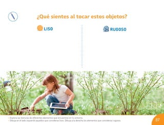 ¿Qué sientes al tocar estos objetos?
LISO RUGOSO
• Explora las texturas de diferentes elementos que encuentres en tu entorno.
• Dibuja en el lado izquierdo aquellos que consideras lisos. Dibuja a la derecha los elementos que consideras rugosos. 87
U09_NT1_Cua_Lic_Imp_B 87 03-08-2020 16:46:37
 