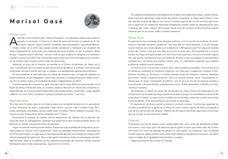 Primer acto
A
ntes de contar la historia del “cabaret fracasado”, es importante aclarar algo sobre mi
pasado, mi presente, mi futuro y mi ideal de hacer del mundo un cabaret en mi tan
corrupto, impune, machín, jodido, surrealista, pero entrañable y maravilloso México.
Quiero hablar de lo difícil que puede resultar establecer y mantener una compañía de
teatro independiente, sobre todo una integrada de puras mujeres, no por el prejuicio idiota
de que “mujeres juntas ni difuntas”, sino por todo lo que conlleva la misoginia y el machismo
cuando el asunto se vuelve más complicado pues luchas por tener una organización horizon-
tal, en donde cuatro mujeres toman todas las decisiones.
Hablando un poco de mi historia, yo estudié en el Centro Universitario de Teatro de la
unam, considerado como la mejor escuela de actuación de México y, también como la escuela
militarizada de teatro donde sólo hay un regidor, y el estudiantado apenas tiene decisión.
En otras palabras: en este país hay una cultura de creadorxs que, en lugar de explotar sus
propios talentos, se ven obligadxs a memorizar, practicar y a desenvolverse en obras canóni-
cas. Por lo mismo, hacer una compañía de teatro independiente es difícil.
Cuando egresé de la carrera me gané una beca del Consejo Británico para estudiar en la
Royal Academy of Dramatic Arts, en Londres. Llegué y descubrí un mundo de compañías in-
dependientes, en el que el teatro estaba lleno de energía brutal y maravillosa. Luego regresé
a México con una misión: empezar mi propia compañía de teatro. Y eso hice.
Segundo acto
Ya lo dije pero lo repito: ésta es una historia sobre una compañía de teatro en un país donde
no hay compañías de teatro, organizada, nada menos, que por cuatro mujeres locas, femi-
nistas, talentosas, estudiosas, necias y sobre todo, humildes. Hemos llegado a la parte de la
historia en que inauguramos dicha compañía hace 15 años.
Arrancamos el proceso de nuestro primer espectáculo de Cabaret con la elección del
título del show. En retrospectiva, entiendo que elegimos el peor nombre posible: Amor con
barreras; en alusión a la película Amor sin barreras.
Llegó la noche de nuestro primer estreno. Éramos las tres estrellitas de la escuela en su pri-
mera puesta en escena, tras la graduación. Todo nos resultaba emocionante: estrenaríamos
en El Hijo del Cuervo, un lugar que en ese entonces (finales de los noventa) aún fungía como
máximo ejemplar de teatro bar. Para invitar gente intentamos todas las estrategias concebi-
bles (de ellas, fingir en el teléfono ser las asistentes personales de nosotras mismas mientras
llamábamos para invitar espectadores, rayamos en lo cómico).
M a r i s o l G a s é
h i s t o r i a s d e f r a c a s o
No sabíamos exactamente qué pasaría con la obra, pero suponíamos que, cuando menos,
sería una buena pachanga. Llegó el día del estreno y sorpresa: no llegó nadie. Bueno, nues-
tras mamás, el papá de alguna, los novios, e incluso algunos de mis 96 exnovios que hicie-
ron su aparición en calidad de espectros (imagínense nuestro grado de desesperación para
invitarlos); por cierto, hasta la fecha sigue siendo uno de nuestros chistes favoritos cuando
creemos que no va a venir nadie a nuestros estrenos.
Tercer acto
El espectáculo fue un fracaso. Eran sketches políticos, y sin la risa de una multitud, se convir-
tieron en recitales lúgubres y patéticos. Creo que sólo mi mamá aplaudió. Y no sólo queda-
mos en ridículo, sino endeudadas: aún le debíamos 1,500 pesos (unos 9 mil pesos de ahorita)
al Hijo del Cuervo, cosa que nos dejó en la ruina un buen rato. Pero persistimos, y al poco
tiempo nos llegó una oportunidad: uno de los exnovios, que fue a vernos a la función original
dijo que quería contratarnos para una fiesta de 30 años y que nos pagaría la extraordinaria
cantidad de 5 mil pesos por montar nuestra obra. Lo celebramos creyendo que nuestros
problemas estarían pronto resueltos.
La fiesta fue en una enorme y lujosa casa, todo pintaba prometedor. Para entonces ya
le habíamos cambiado el nombre al show por uno más sexy y sugerente: Cabaret à trois.
Salimos vestidas en shortsitos y medias caladas antes de empezar nuestros sketches,
esa noche, frente a sesenta personas. Tras una exitosa escena inicial, comenzamos un
sketch que sin duda complacería al público: uno en el que una de las actrices imitaba a
la perfección a Ernesto Zedillo, presidente en turno. Todos detestaban a Zedillo ¿no? Eso
creíamos nosotras.
Sin embargo, el sketch no causó risa. Ni siquiera una risilla. Pronto nos enteraríamos, por
conducto de una invitada que llegó a gritarnos al área en la que nos cambiábamos de atuendo
entre sketch y sketch, la razón: entre el público se encontraba, nada más y nada menos, que
el hijo de Zedillo. A las tres actrices se nos hundió el estómago.
El espectáculo de hora y veinte se redujo a veintitres minutos. Tuvimos que aguantar las
miradas acusadoras de la gente de la fiesta, así como nuestras ganas de darle una patada a
más de uno de los que nos gritaron. Salimos de ahí deprimidas (hubo lágrimas) y con la idea
de que, tal vez, la obra estuviera maldita.
Ovación
El desenlace no fue tan trágico como podría haber sido: poco antes de abandonar la fiesta
conocimos a una mujer que, tras decirnos que le gustó lo poco que había visto de la obra,
nos invitó a un curso de equidad de género, lo cual resultó una bendición: hoy, Las Reinas
Chulas hacemos cabret político, pero sobre todo hablamos de derechos humanos, nos dedi-
camos a hablar de la igualdad entre hombres y mujeres.
Sigamos haciendo del mundo Un Cabaret.
7170
 