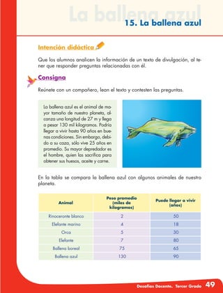 Desafíos Docente. Tercer Grado 49
La ballena azul15. La ballena azul
Intención didáctica
Que los alumnos analicen la información de un texto de divulgación, al te-
ner que responder preguntas relacionadas con él.
Consigna
Reúnete con un compañero, lean el texto y contesten las preguntas.
La ballena azul es el animal de ma-
yor tamaño de nuestro planeta, al-
canza una longitud de 27 m y llega
a pesar 130 mil kilogramos. Podría
llegar a vivir hasta 90 años en bue-
nas condiciones. Sin embargo, debi-
do a su caza, sólo vive 25 años en
promedio. Su mayor depredador es
el hombre, quien las sacrifica para
obtener sus huesos, aceite y carne.
En la tabla se compara la ballena azul con algunos animales de nuestro
planeta.
Animal
Peso promedio
(miles de
kilogramos)
Puede llegar a vivir
(años)
Rinoceronte blanco 2 50
Elefante marino 4 18
Orca 5 30
Elefante 7 80
Ballena boreal 75 65
Ballena azul 130 90
 