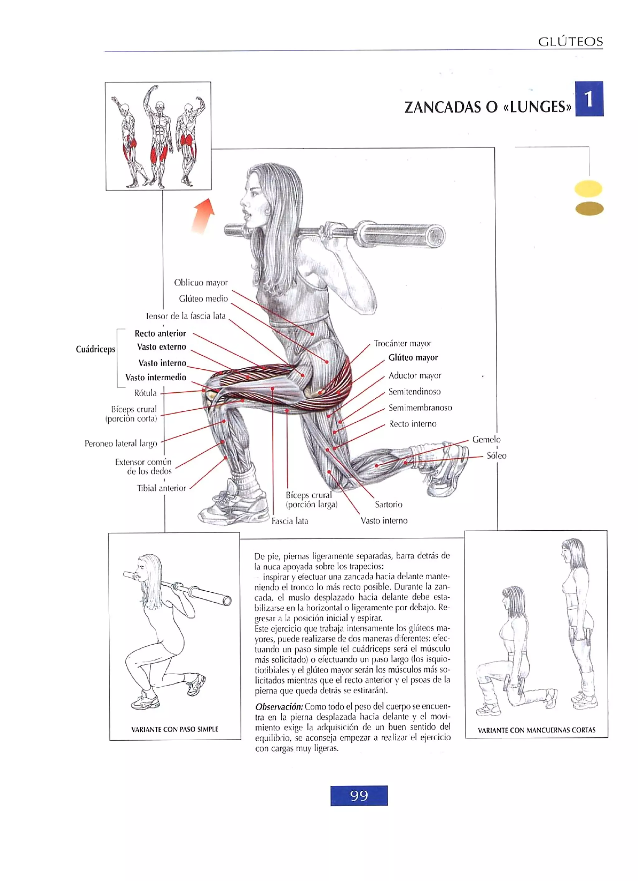 Libro de musculacion