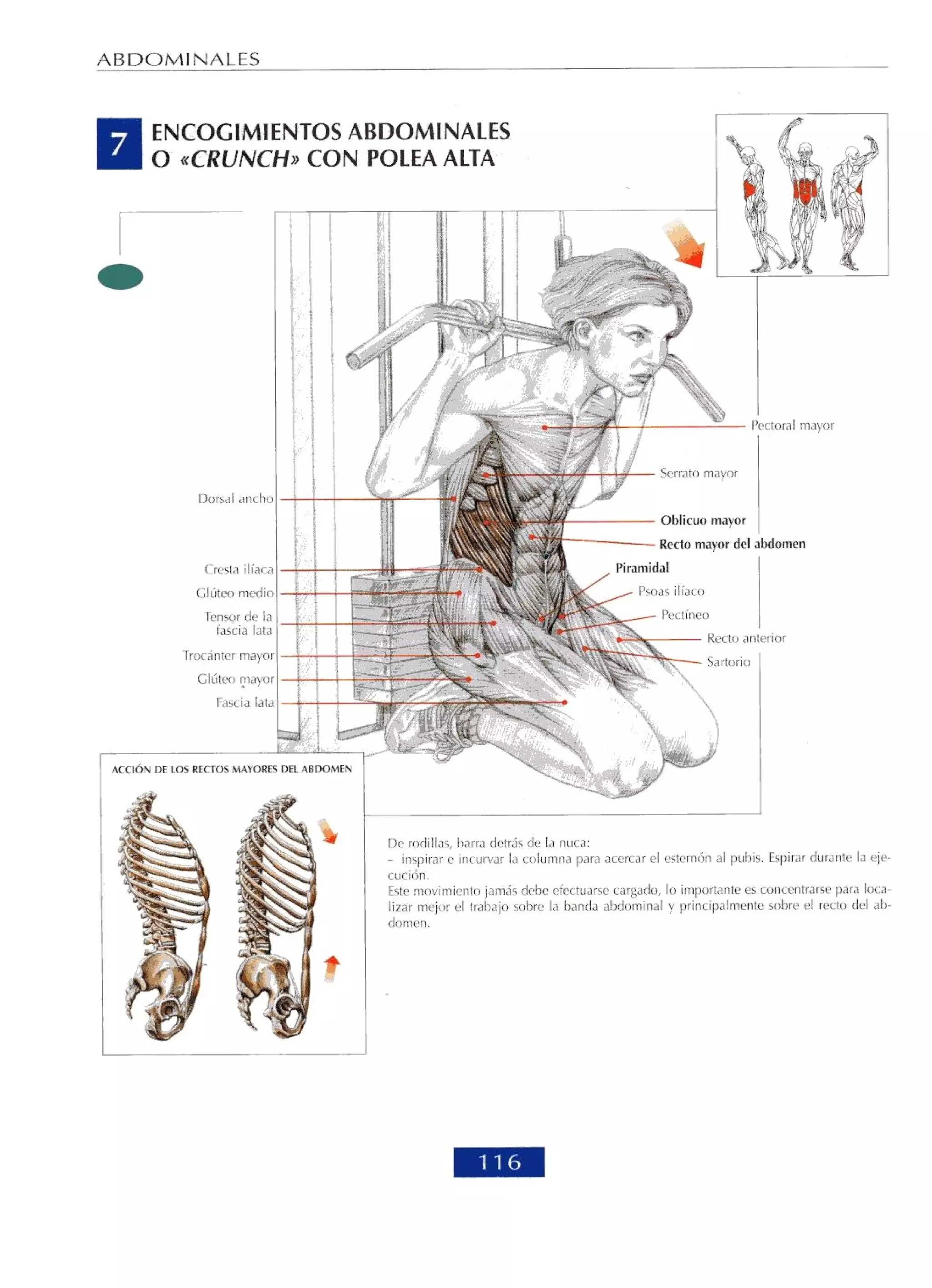 Libro de musculacion