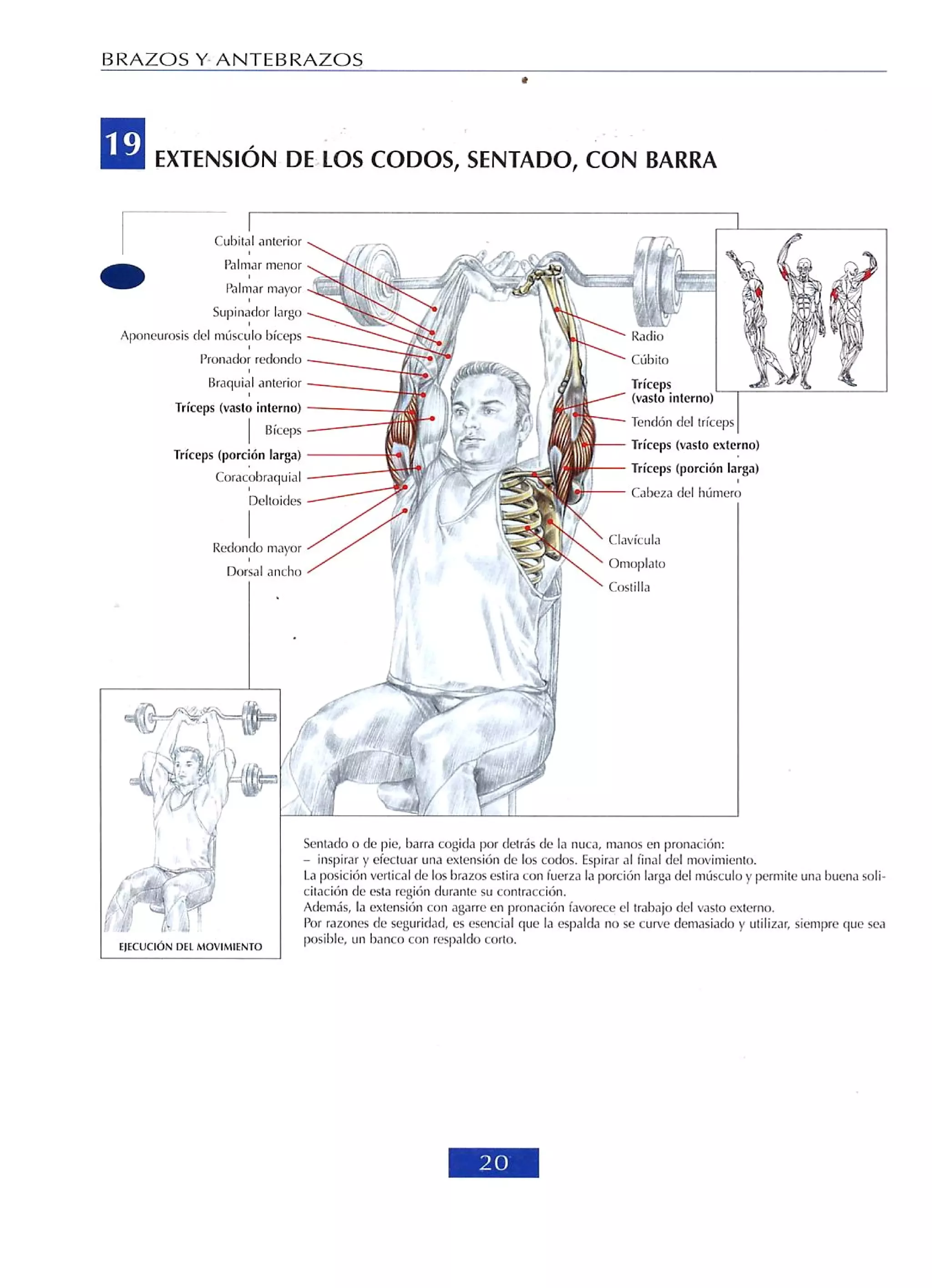 Libro de musculacion