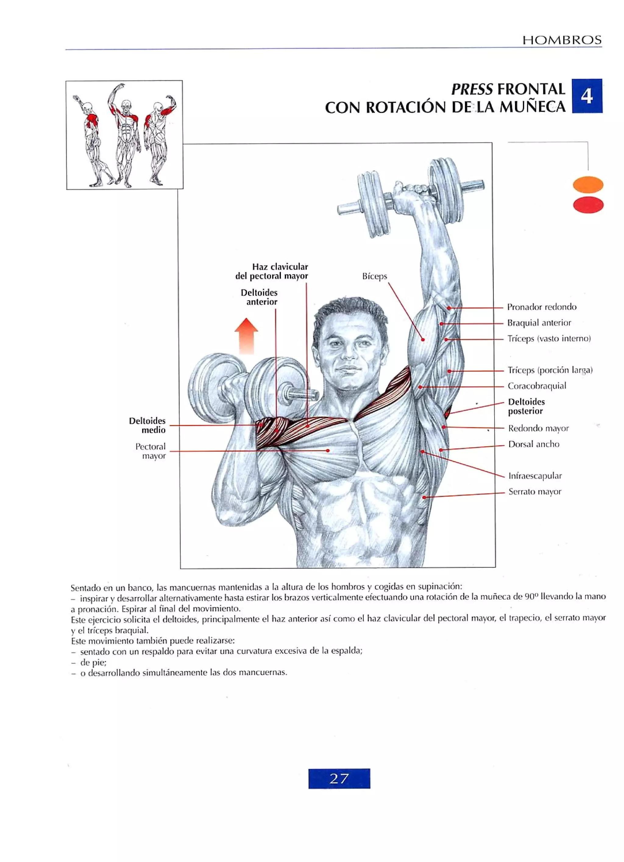 Libro de musculacion