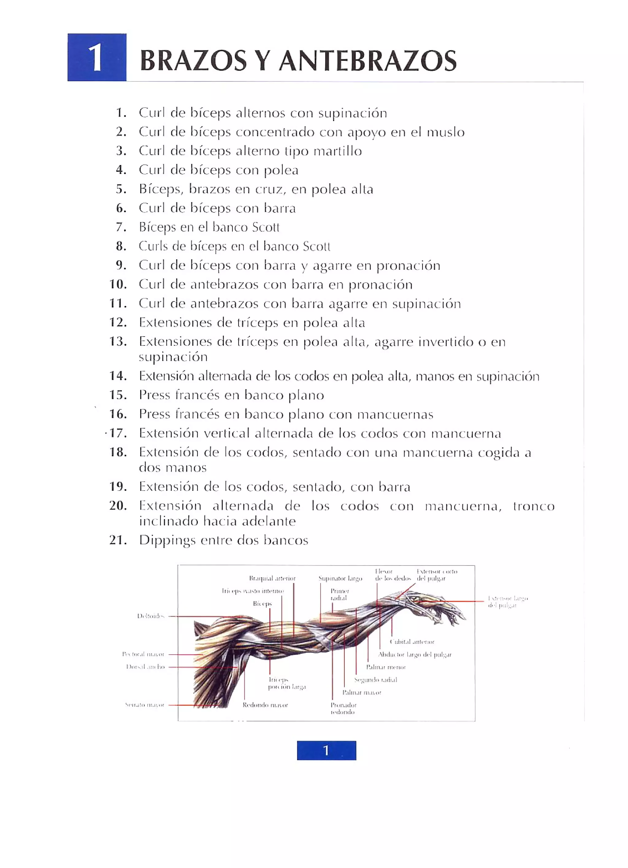 Libro de musculacion