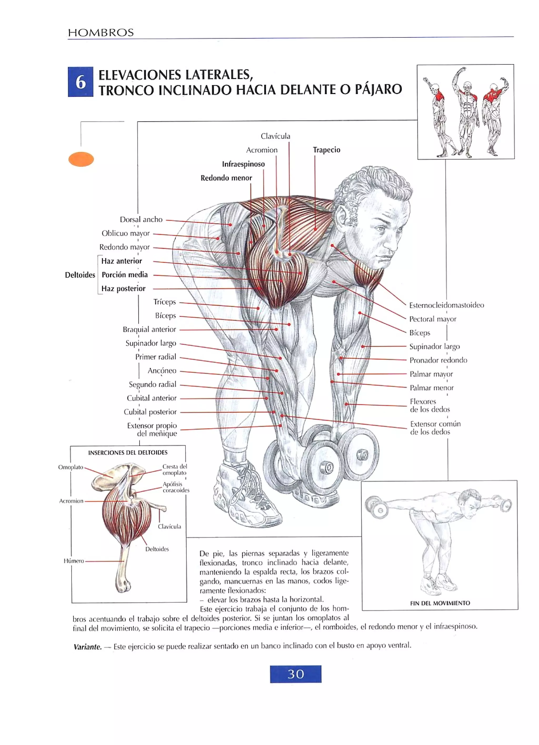 Libro de musculacion