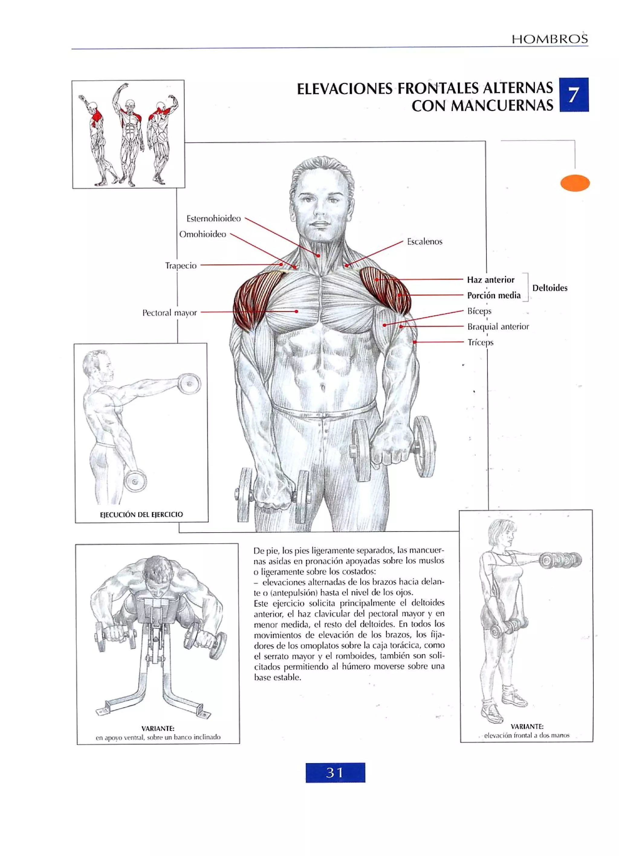 Libro de musculacion