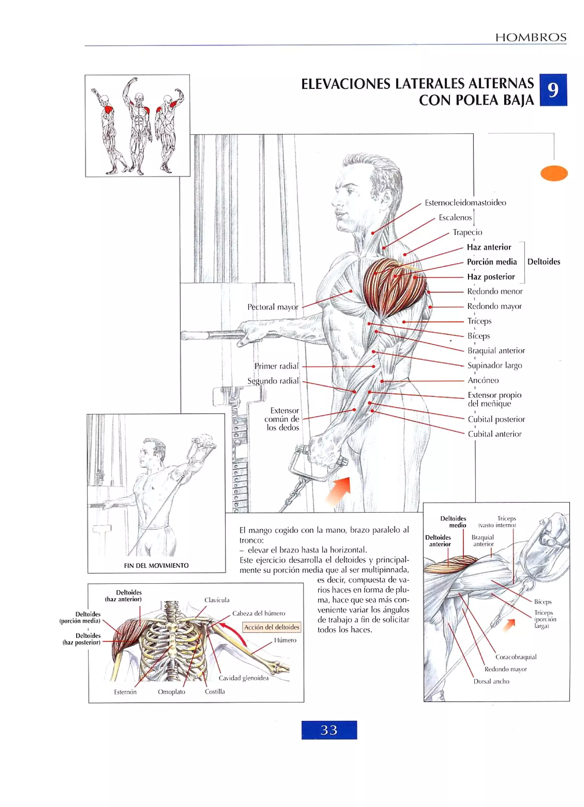 Libro de musculacion