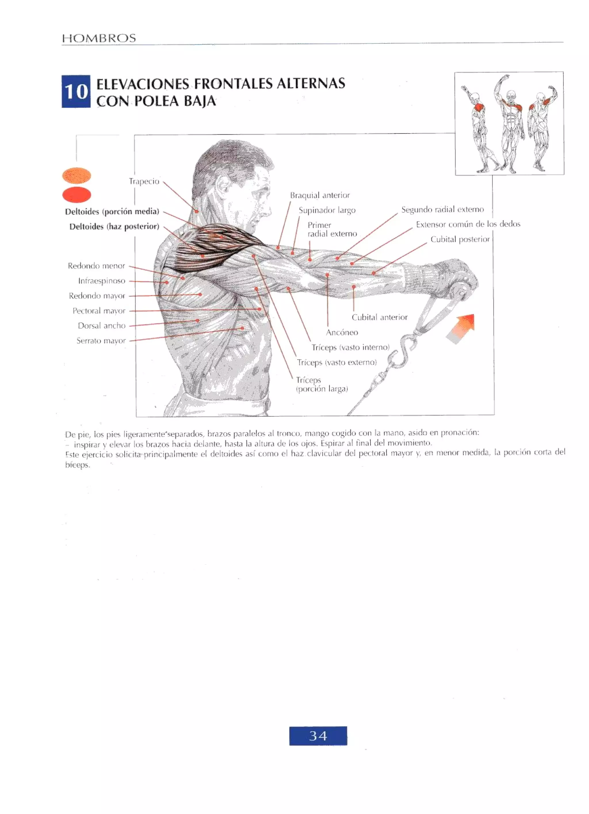 Libro de musculacion