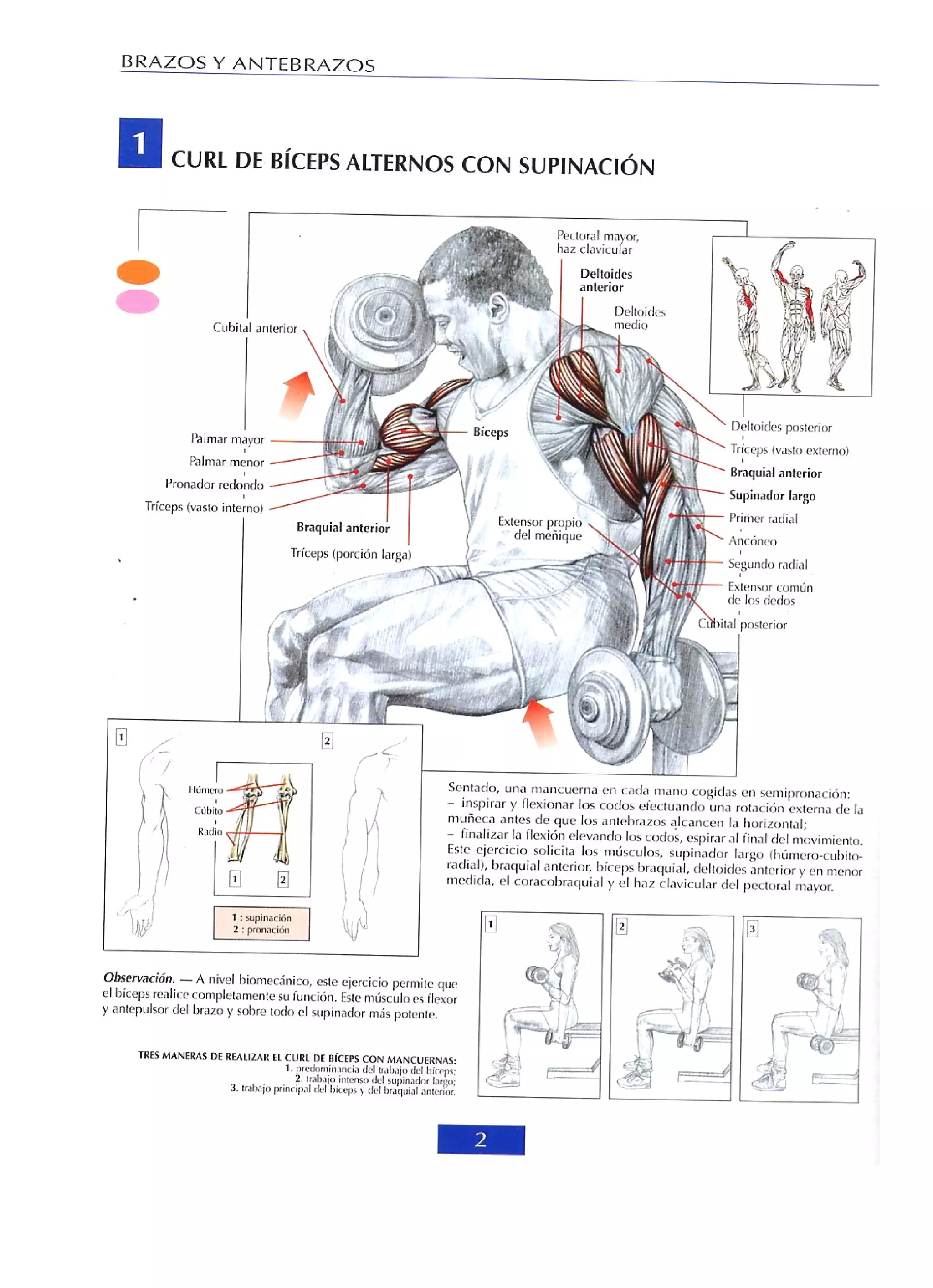 Libro de musculacion