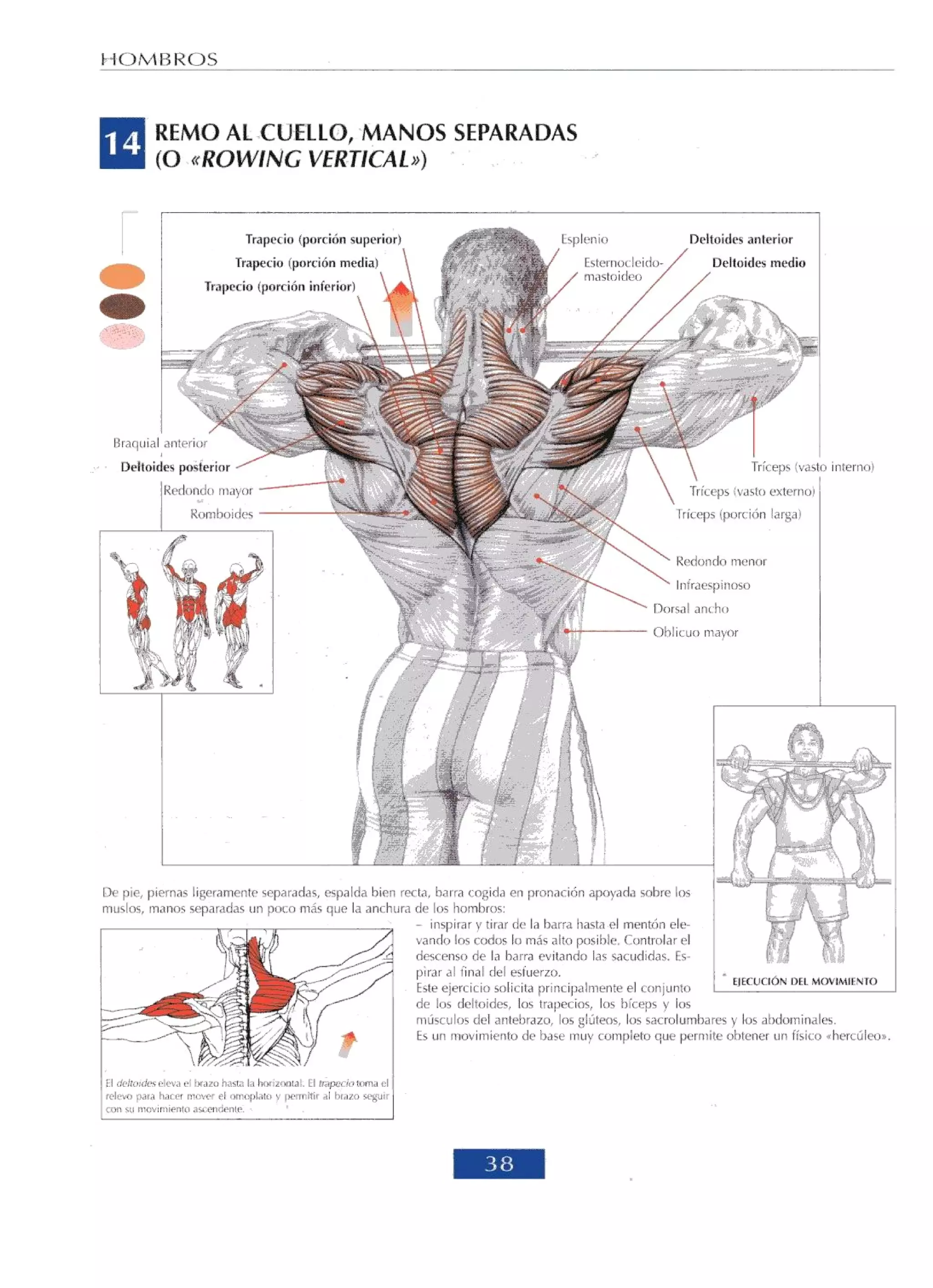 Libro de musculacion