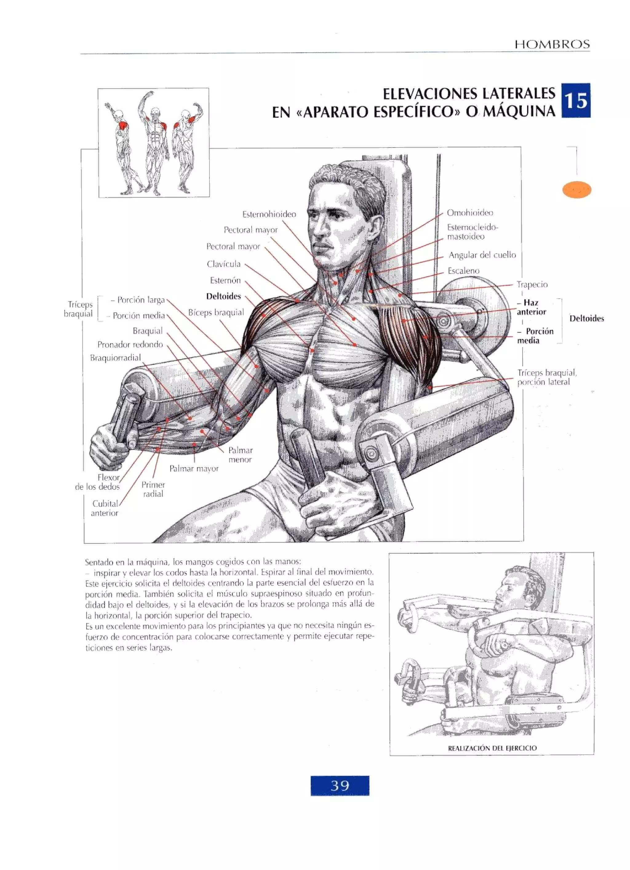 Libro de musculacion