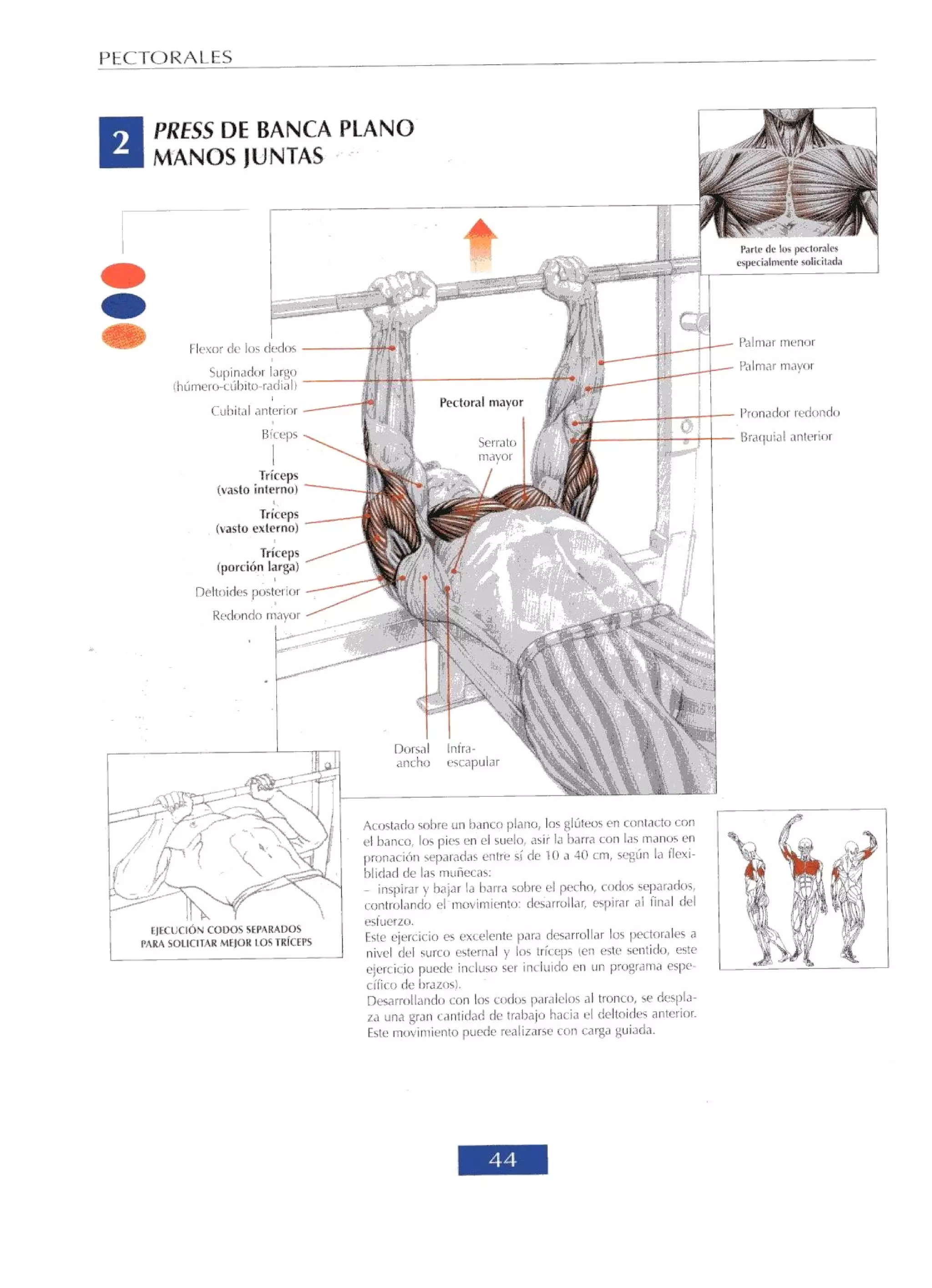 Libro de musculacion