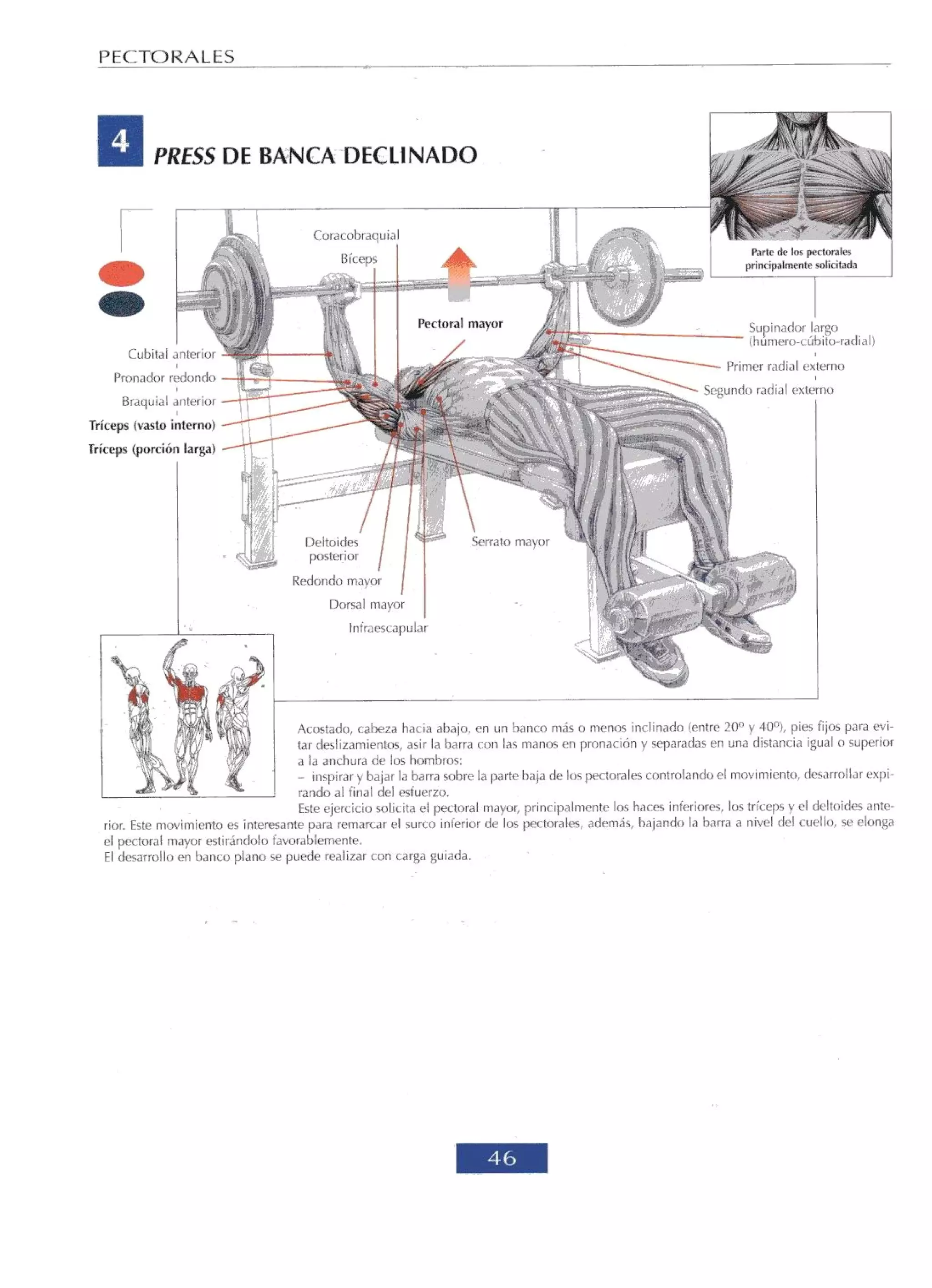 Libro de musculacion