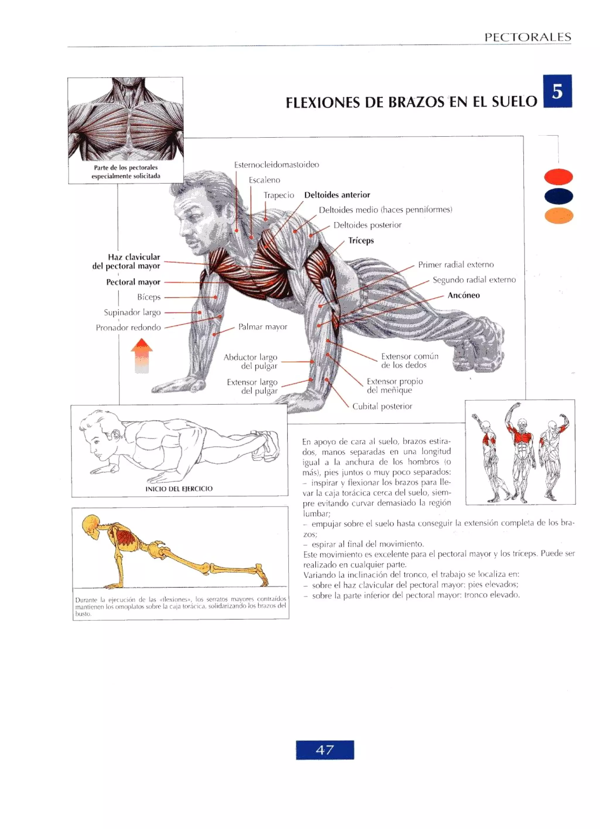 Libro de musculacion