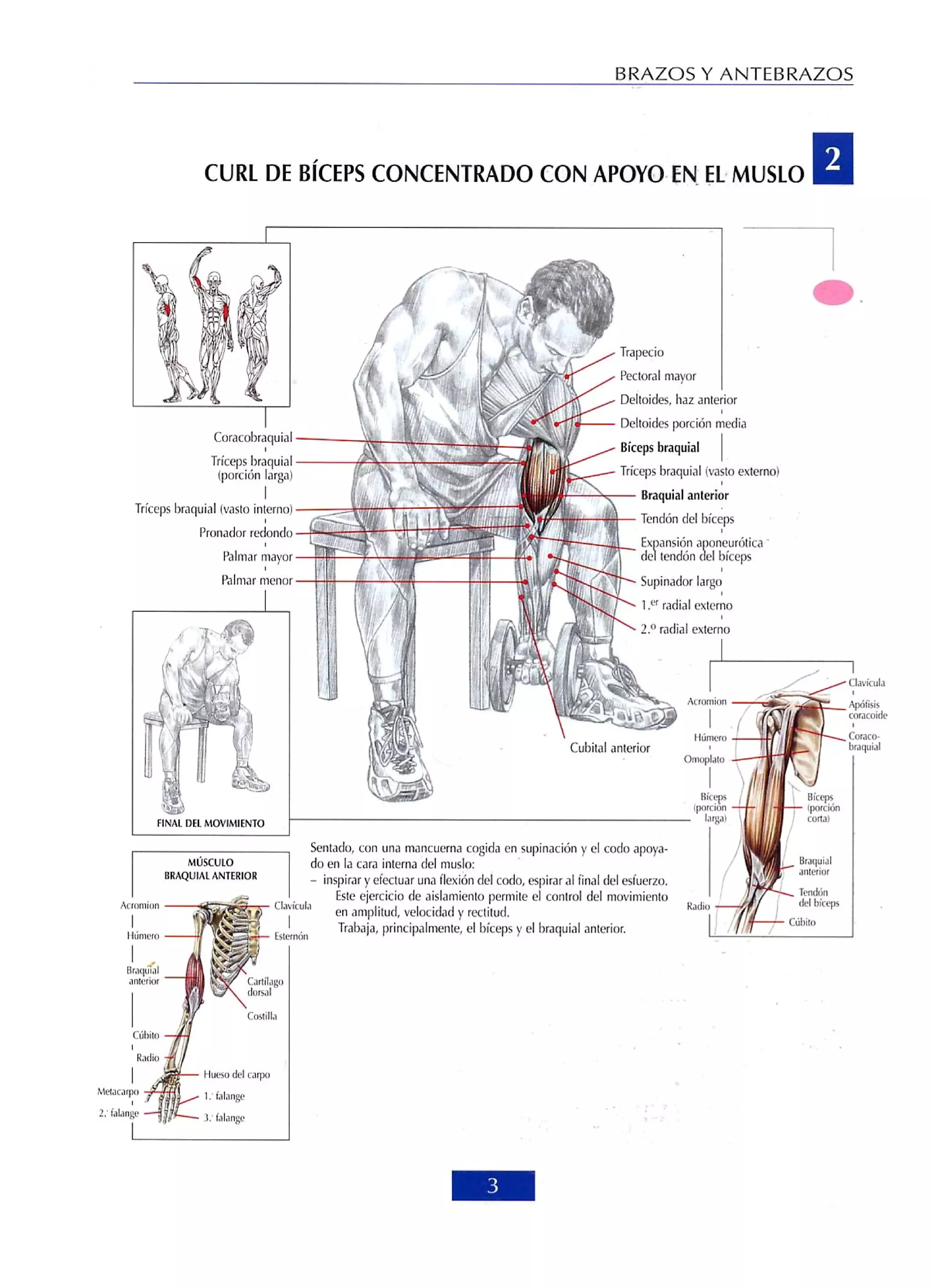 Libro de musculacion