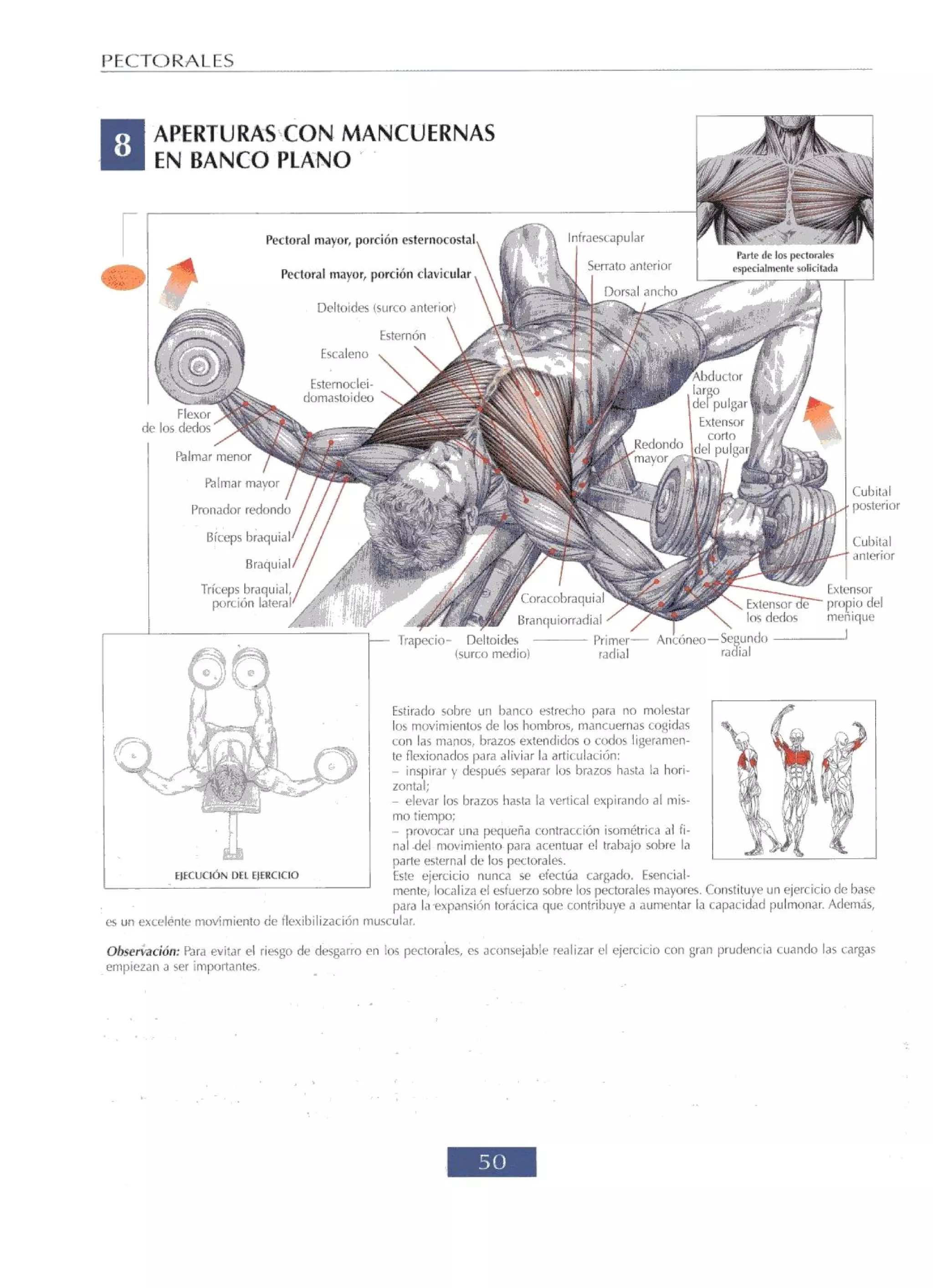 Libro de musculacion